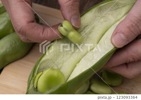 そら豆から豆板醤を作る工程 123093364