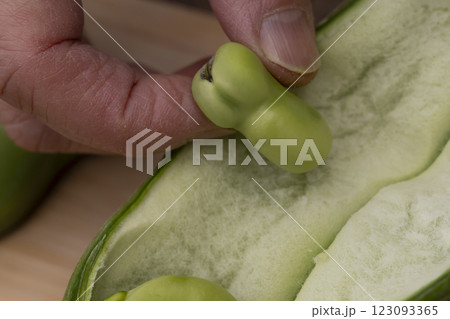 そら豆から豆板醤を作る工程 123093365
