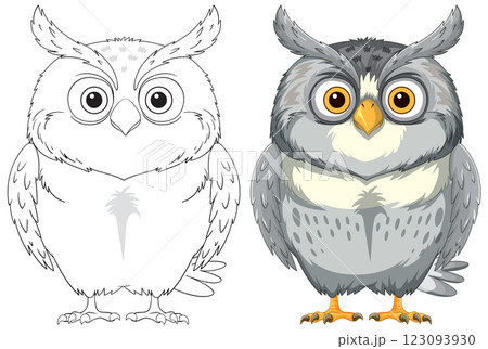 Owl Illustration with Outline and Color Owl Illustration with Outline and Color 123093930