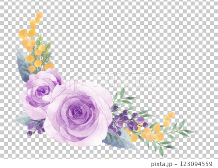紫の薔薇とミモザのブーケの水彩画 紫の薔薇とミモザのブーケの水彩画 123094559
