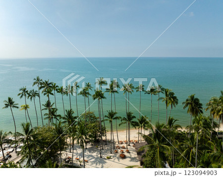 Tall palm trees lined along a sandy beachfront with calm blue sea under a sunny sky. Koh Samui, Thailand. Tall palm trees lined along a sandy beachfront with calm blue sea under a sunny sky. Koh Samui, Thailand. 123094903