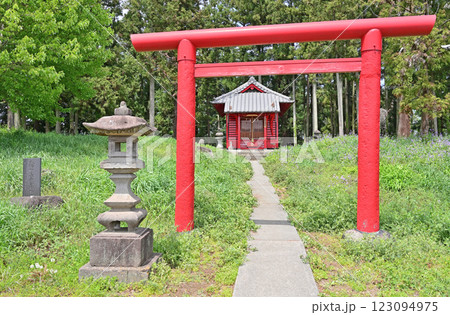 中山道板鼻宿散歩：八幡八幡宮　境内社 地主稲荷社　高崎市八幡町 123094975