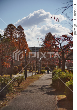大阪市の淀川河川公園の自然豊かな秋の情景 123095301