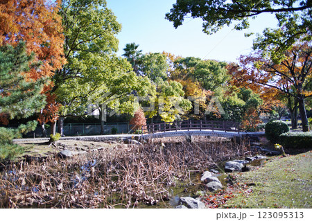 大阪市の淀川河川公園の自然豊かな秋の情景 大阪市の淀川河川公園の自然豊かな秋の情景 123095313