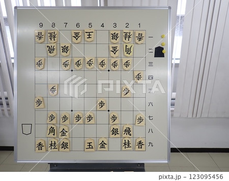 将棋の大盤解説 123095456