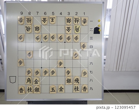 将棋の大盤解説 123095457