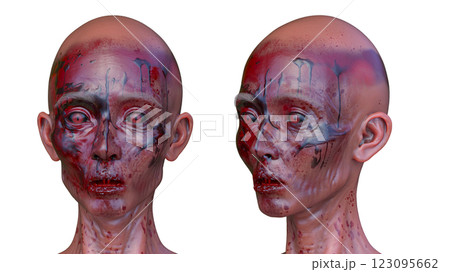 女性ゾンビの顔 女性ゾンビの顔 123095662