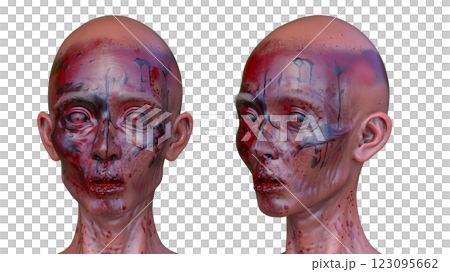 女性ゾンビの顔 女性ゾンビの顔 123095662