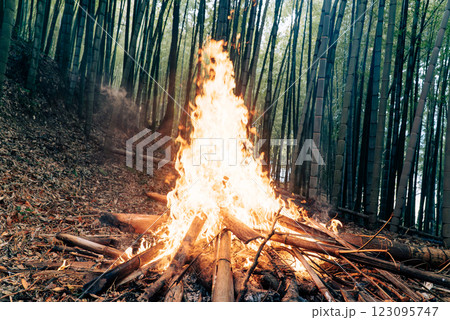 竹林で燃える炎 123095747