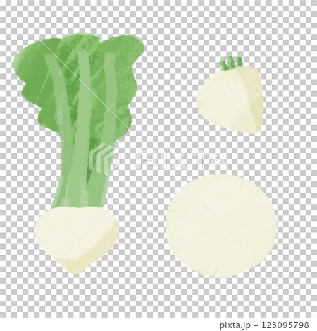 手繪彩色插圖集各種切蘿蔔的方法 手繪彩色插圖集各種切蘿蔔的方法 123095798