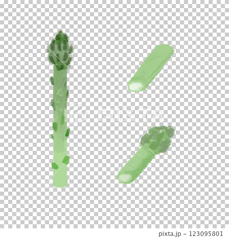 手繪彩色插圖集各種切蘆筍的方法 123095801