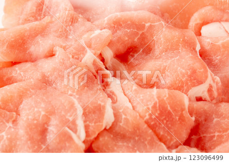 生肉豚肉 123096499