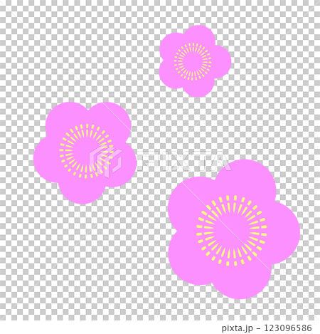 黄色いおしべが輪になって並んでいる、大中小のピンク色の梅の花 123096586