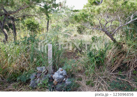 沖縄県　伊是名島　風の岩・登り口 123096856