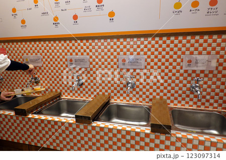 蛇口みかんジュース 123097314