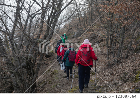 Tourists climbing the mountain hiking through the forest with fog Tourists climbing the mountain hiking through the forest with fog 123097364