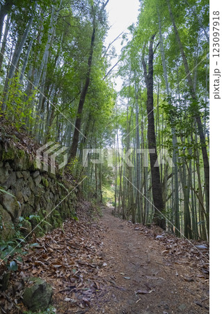 岐阜県中津川市 冬の苗木城 岐阜県中津川市 冬の苗木城 123097918