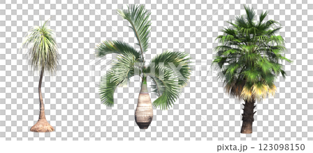 deciduous tree, isolate on a transparent background, 3d illustration 123098150