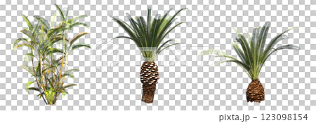 deciduous tree, isolate on a transparent background, 3d illustration 123098154