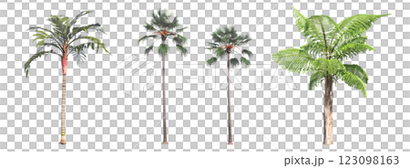 deciduous tree, isolate on a transparent background, 3d illustration deciduous tree, isolate on a transparent background, 3d illustration 123098163
