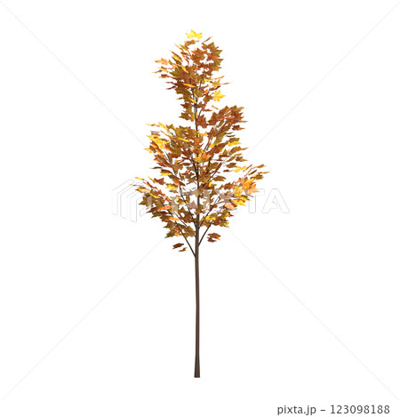 autumn tree, isolate on a transparent background, 3d illustration autumn tree, isolate on a transparent background, 3d illustration 123098188