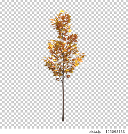 autumn tree, isolate on a transparent background, 3d illustration 123098188