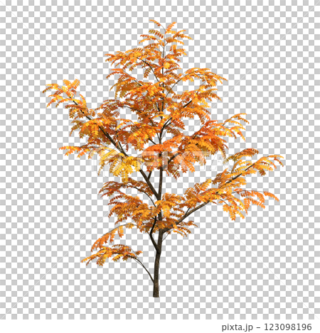 autumn tree, isolate on a transparent background, 3d illustration autumn tree, isolate on a transparent background, 3d illustration 123098196