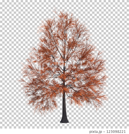autumn tree, isolate on a transparent background, 3d illustration autumn tree, isolate on a transparent background, 3d illustration 123098221