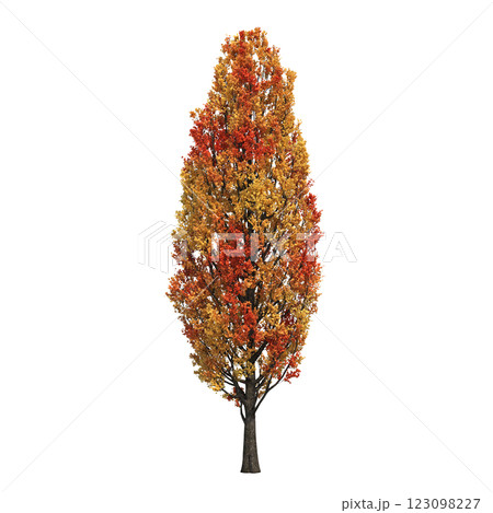 autumn tree, isolate on a transparent background, 3d illustration autumn tree, isolate on a transparent background, 3d illustration 123098227