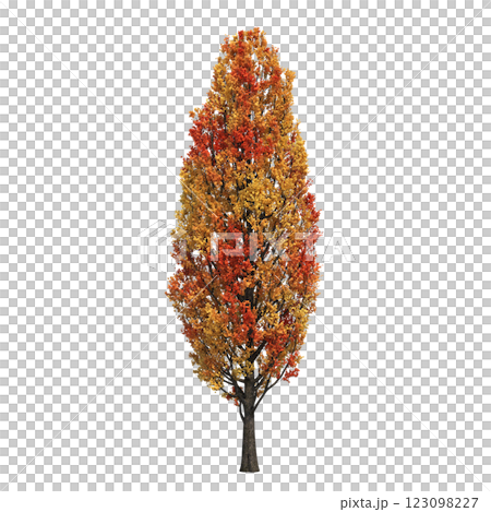 autumn tree, isolate on a transparent background, 3d illustration autumn tree, isolate on a transparent background, 3d illustration 123098227