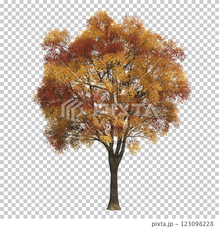 autumn tree, isolate on a transparent background, 3d illustration autumn tree, isolate on a transparent background, 3d illustration 123098228