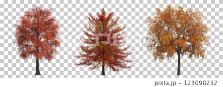 autumn tree, isolate on a transparent background, 3d illustration 123098232
