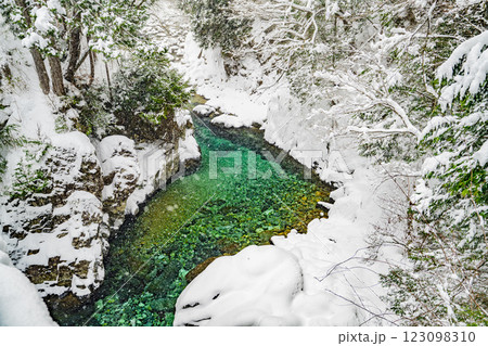 長野県南木曽町 降雪した冬の阿寺渓谷の風景 長野県南木曽町 降雪した冬の阿寺渓谷の風景 123098310