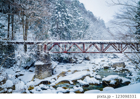 長野県南木曽町　降雪した冬の阿寺渓谷の風景 123098331