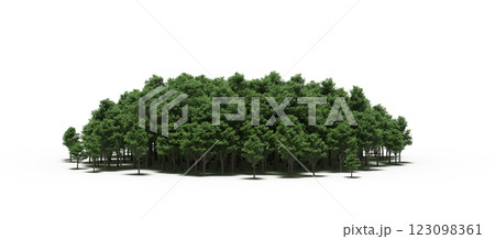 group of trees with a shadow under it, isolated on a transparent background, 3D illustration, cg render 123098361