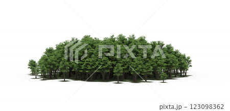 group of trees with a shadow under it, isolated on a transparent background, 3D illustration, cg render 123098362