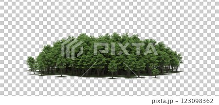 group of trees with a shadow under it, isolated on a transparent background, 3D illustration, cg render 123098362