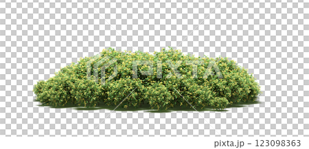 group of trees with a shadow under it, isolated on a transparent background, 3D illustration, cg render 123098363