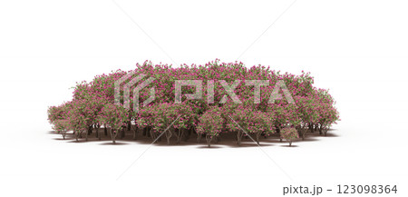 group of trees with a shadow under it, isolated on a transparent background, 3D illustration, cg render 123098364
