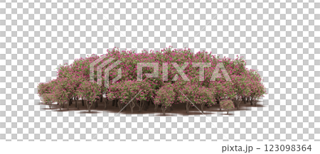 group of trees with a shadow under it, isolated on a transparent background, 3D illustration, cg render 123098364