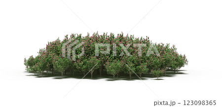 group of trees with a shadow under it, isolated on a transparent background, 3D illustration, cg render 123098365
