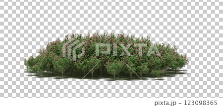 group of trees with a shadow under it, isolated on a transparent background, 3D illustration, cg render 123098365