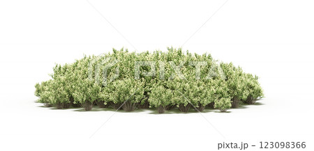 group of trees with a shadow under it, isolated on a transparent background, 3D illustration, cg render 123098366