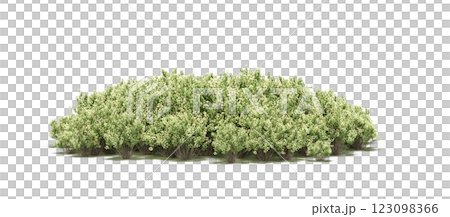 group of trees with a shadow under it, isolated on a transparent background, 3D illustration, cg render 123098366