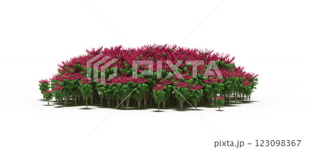 group of trees with a shadow under it, isolated on a transparent background, 3D illustration, cg render 123098367