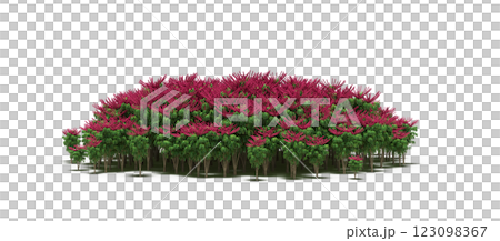 group of trees with a shadow under it, isolated on a transparent background, 3D illustration, cg render 123098367