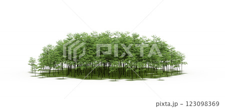 group of trees with a shadow under it, isolated on a transparent background, 3D illustration, cg render 123098369