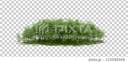 group of trees with a shadow under it, isolated on a transparent background, 3D illustration, cg render 123098369