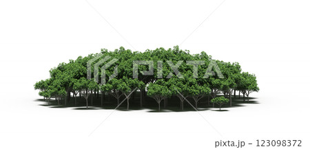 group of trees with a shadow under it, isolated on a transparent background, 3D illustration, cg render 123098372