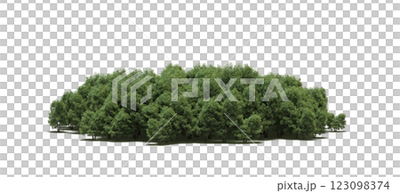 group of trees with a shadow under it, isolated on a transparent background, 3D illustration, cg render 123098374
